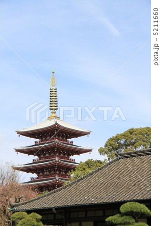 浅草寺 伝法院 浅草寺 伝法院 5211660