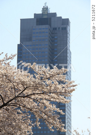 月島 月島 5211672