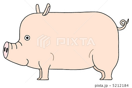 豚 5212184