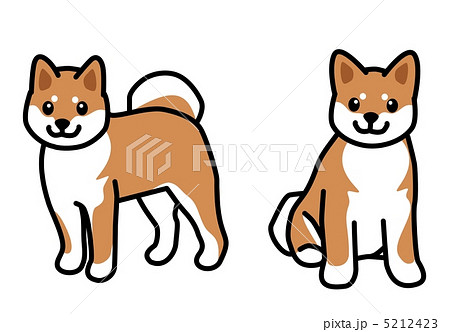 柴犬のイラスト素材