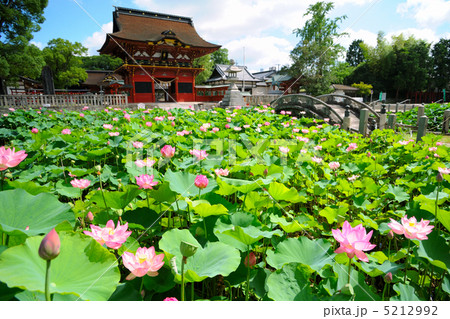 伊賀八幡宮 5212992