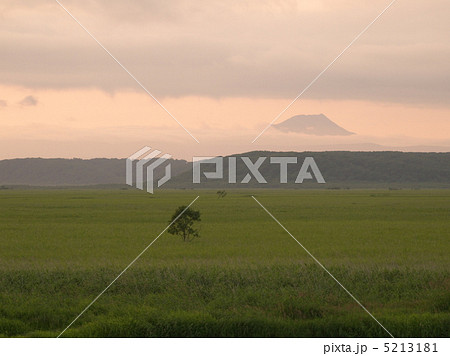 夕暮れの釧路湿原 5213181