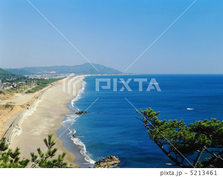 伊良湖海岸 5213461
