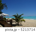 ニューカレドニア・ウベア島 5213714
