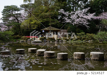 春の平安神宮、臥龍橋 春の平安神宮、臥龍橋 5214527