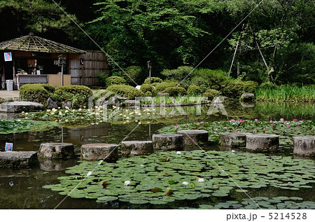 初夏の平安神宮、臥龍橋 初夏の平安神宮、臥龍橋 5214528