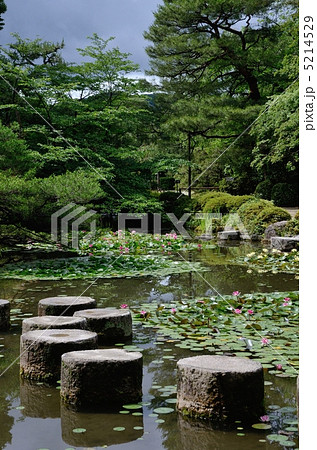 初夏の平安神宮、臥龍橋 5214529