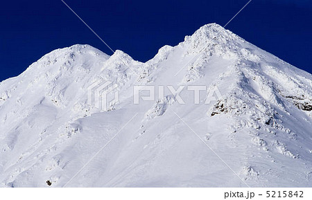 スイス白山 5215842