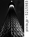 スカイツリー　白黒 5215983