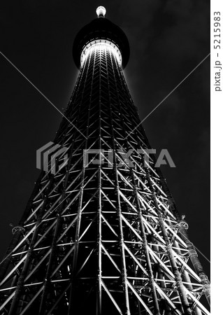 スカイツリー 白黒の写真素材