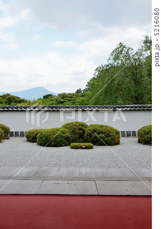 正伝寺、縁側と獅子の児渡し庭園 5216080