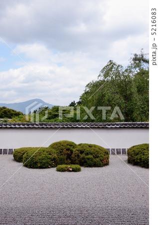 正伝寺、獅子の児渡し庭園 正伝寺、獅子の児渡し庭園 5216083