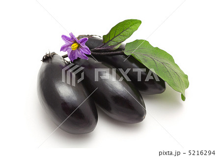 ナス ナス 5216294