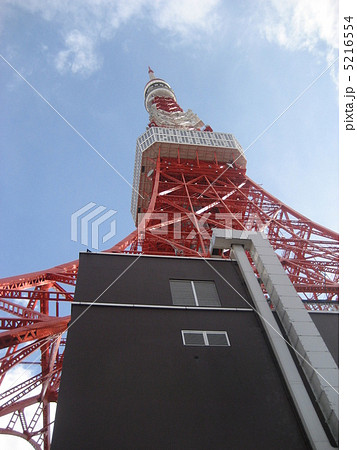 見上げる東京タワー 333m 見上げる東京タワー 333m 5216554