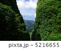 愛鷹山割石峠 5216655
