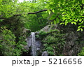 愛鷹山つるべ落としの滝 5216656