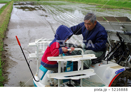 田植え風景 田植え風景 5216888