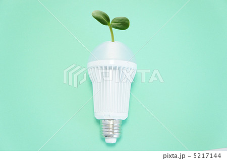 エコイメージ 5217144