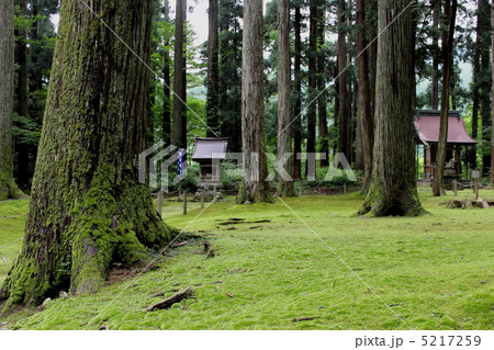 平泉寺白山神社 境内（福井県 勝山市） 5217259