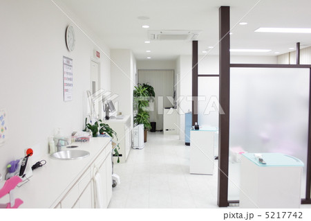 院内 院内 5217742