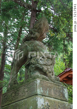 揖夜神社の狛犬（島根県松江市東出雲町揖屋） 5217941