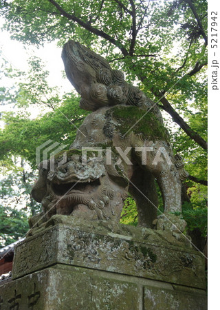 揖夜神社の狛犬（島根県松江市東出雲町揖屋） 5217942