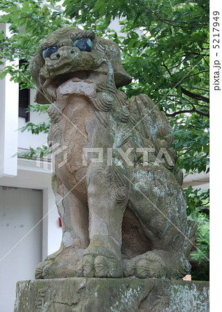 美保神社の狛犬(阿形像)（島根県松江市美保関町）の写真素材 [5217949