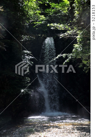 滝 滝 5218153