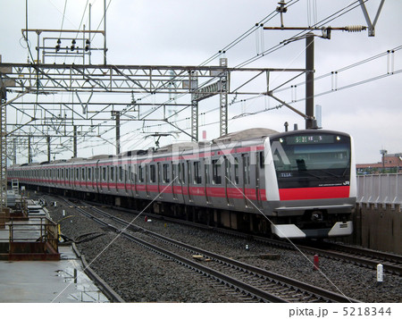 京葉線　E233系　葛西臨海公園駅 5218344