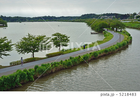 水戸散歩・千波湖と桜川 5218483