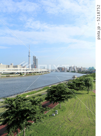 汐入公園から見る東京スカイツリー 5218752