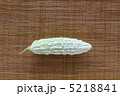 白ゴーヤー 5218841