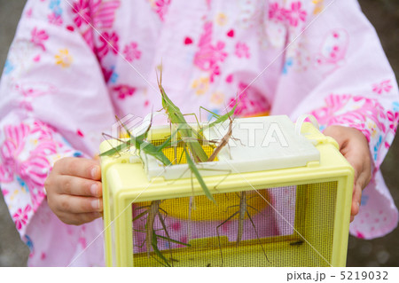 バッタと虫かごの写真素材