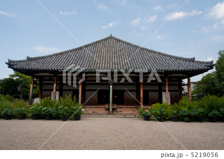 元興寺と蓮 5219056