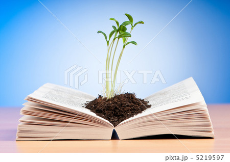 Knowledge concept with books and seedlings Knowledge concept with books and seedlings 5219597