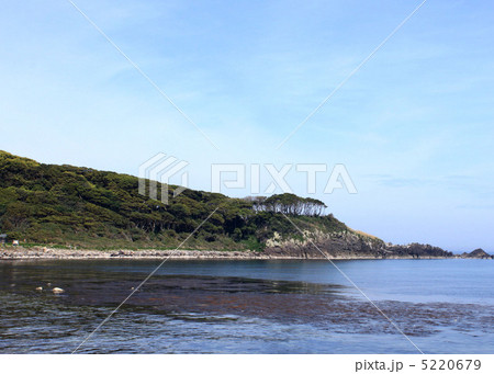 福井県　坂井市　雄島 5220679
