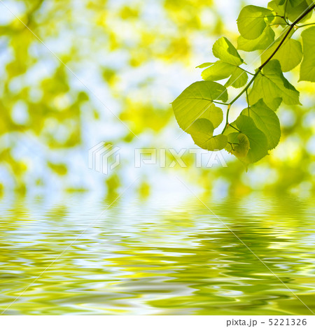 Spring background Spring background 5221326