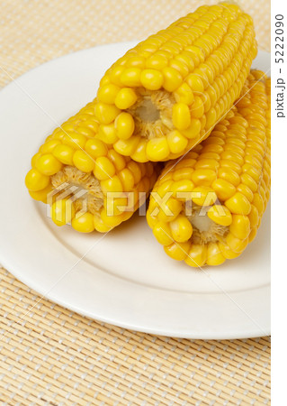 Boiled corn cob 5222090