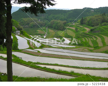 北庄の棚田 5223438