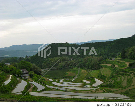 北庄の棚田〜全景〜 5223439