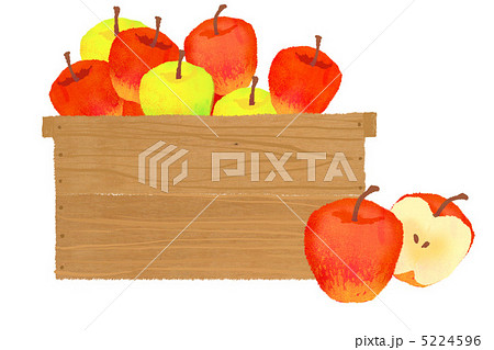 りんご3 りんご3 5224596