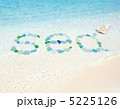 夏イメージ 5225126