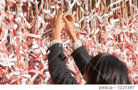 縁を結ぶ 5225387