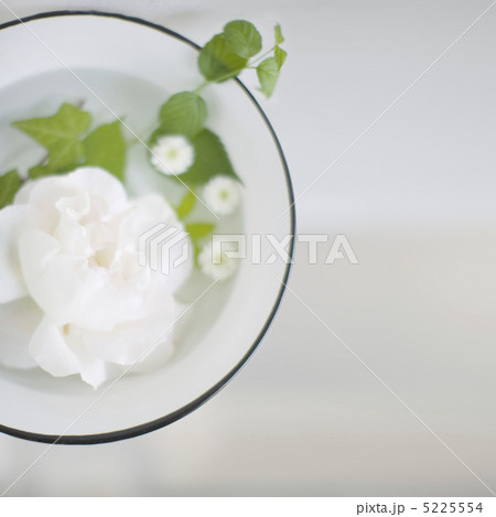 水に浮かべた花 5225554
