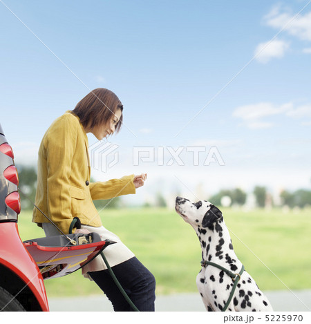 車を停め休憩する女性とダルメシアン犬 5225970