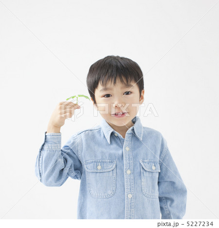双葉を持つ男の子 5227234