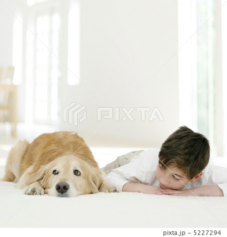 少年と犬 5227294