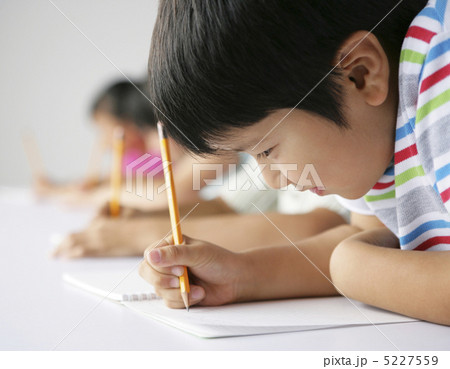勉強する子供達 5227559