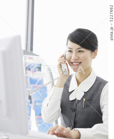 電話で話をするパソコンの前のビジネスウーマン 電話で話をするパソコンの前のビジネスウーマン 5227662