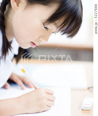 勉強する女の子 勉強する女の子 5227666